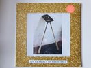 IDLES JOY AS AN ACT OF RESISTANCE vinyl LP 2018 deluxe edition NEW SEALED