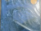 Rift by Phish (Record, 2015) First Pressing #7877 With Limited Welker Print