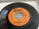 Rock with Bill Haley and the Comets 