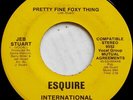 Jeb Stuart - Pretty Fine Foxy Thing / A Long Time Comin' Down (7