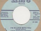 Entertainers I'm In Love With You Hmc  Soul Northern Motown