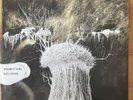Radiohead - Pyramid Song 12” Vinyl