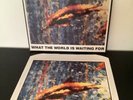 The Stone Roses What The World Is Waiting For 12” vinyl + Print - MINT condition