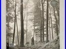 New Taylor Swift - folklore 