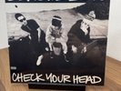 BEASTIE BOYS-BEASTIE BOYS:CHECK YOUR HEAD(REMASTERED) NEW VINYL RECORD