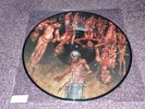 Cannibal Corpse Torture Vinyl LP Picture Disc, death metal record rare