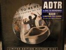 What Separates Me From You A Day to Remember vinyl picture disc limited