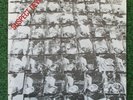 STIFF LITTLE FINGERS 7
