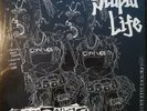 CONFUSE stupid life LP JAP IMPORT   kbd gism deathside gauze confuse gai kuro