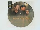 TWILIGHT New Moon Soundtrack 12
