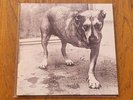 ALICE IN CHAINS - Self Titled - Tripod -Three Legged Dog 1995 NM-M