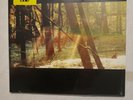 Childish Gambino - Camp - SEALED 2022 Hip Hop Pop LTD ED Bonfire Red Vinyl Hype