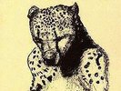 PALACE MUSIC - Viva Last Blues WILL OLDHAM