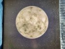Electric Sewer Age Moons Milk In Final Phase LP Signed Coil Peter Christopherson
