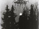 Darkthrone - Panzerfaust LP #77146