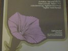 ERICH LEINSDORF / WAGNER symphonic works / SHEFFIELD LAB