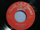MISTY FIRE 45 - RARE CANADA GARAGE BAND / CRIES OF A GAMBLER / FUZZ GUITAR