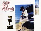 Stevie Ray Vaughan: The Sky Is Crying - LP 200g Vinyl