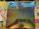 THE FLAMING LIPS THE TERROR LP record album vinyl CD Bella Union Bellav388