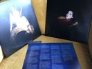 Birdy - Beautiful Lies  2 × Vinyl, LP, Album, Gatefold 2016 (In Shrink)
