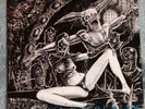 GOREAPHOBIA - Demented Omen of Masochism 7