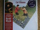 Cat Stevens  Harold  Maude  Obi posters Pink 7