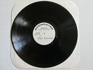 BRANDUARDI La Pulce d'Acqua LP TEST PRESS PROVINO RARE