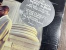 Junior M.A.F.I.A.- LIMITED RARE Vinyl 