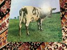 Pink Floyd Atom Heart Mother Germany 1973 Reissue Vinyl