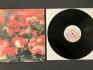 Rival Schools - Pedals Vinyl LP 12