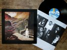 OINGO BOINGO - Dark At The End Of The Tunnel (1990) Vinyl, LP Original Pressing
