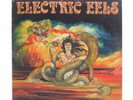 Electric Eels | Electric Eels | Private Press | Metal | Used Lp
