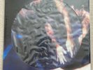 SIOUXSIE AND THE BANSHEES The Scream LP SEALED Picture Disc Repress