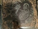Pat The Bunny / Ceshi Lp 1st Pressing