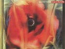 LOVE & MONEY - Dogs In The Traffic (reissue) - Vinyl (LP)