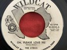 The Lyrics - Oh Please Love Me - Wildcat - DIMAS GARZA - RARE DOOWOP SOUL 45