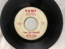Dallas Texas Garage Holy Grail 45 -The By Fives 