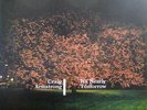 Craig Armstrong - It's Nearly Tomorrow (2xLP, Album)