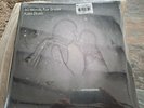 Kate Bush 50 Words For Snow 2011 New / Sealed Vinyl