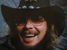 *Hank Williams, Jr.'s Greatest Hits - Vinyl LP Album Stereo - VG+ Plus