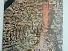 Siouxsie and the Banshees :juju 1981 PVC 8903
