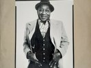 Muddy Waters Hard Again LP Blue Sky 1977 PZ 34449 Play Graded VG+