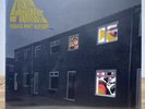 Arctic Monkeys- Favourite Worst Nightmare Vinyl LP