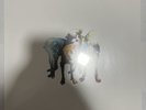 DOGLEG Collected LP Splatter Vinyl 200-dikembe charmer glocca morra oso oso