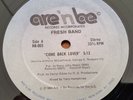 FRESH BAND - COME BACK LOVER  TONY HUMPHRIES MIX   US 12