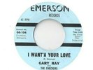 GARY RAY & THE CHECKERS She's Mine 45 RECORD RARE PRIVATE MN GARAGE ROCKABILLY