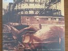 RED HOUSE PAINTERS Red House Painters DOUBLE LP VINYL Europe 4ad 2015 2 LP