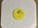 Against All Authority “Destroy What Destroys You” LP Test Pressing Punk Ska RARE