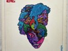 LOVE - Forever Changes. Vinyl LP Record First Press US 1967 & OIS Vg+/Vg+