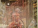 METAL Iron Maiden 